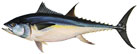 fish09_14